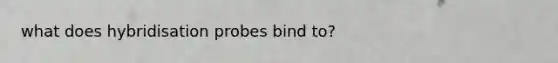 what does hybridisation probes bind to?