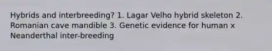 Hybrids and interbreeding? 1. Lagar Velho hybrid skeleton 2. Romanian cave mandible 3. Genetic evidence for human x Neanderthal inter-breeding