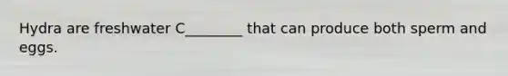 Hydra are freshwater C________ that can produce both sperm and eggs.
