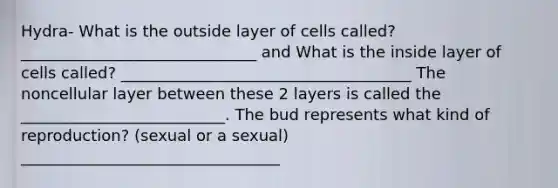 Hydra- What is the outside layer of cells called? ______________________________ and What is the inside layer of cells called? _____________________________________ The noncellular layer between these 2 layers is called the __________________________. The bud represents what kind of reproduction? (sexual or a sexual) _________________________________