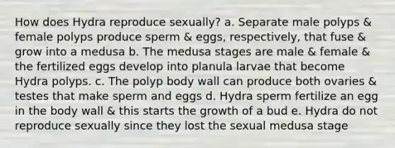 How does Hydra reproduce sexually? a. Separate male polyps & female polyps produce sperm & eggs, respectively, that fuse & grow into a medusa b. The medusa stages are male & female & the fertilized eggs develop into planula larvae that become Hydra polyps. c. The polyp body wall can produce both ovaries & testes that make sperm and eggs d. Hydra sperm fertilize an egg in the body wall & this starts the growth of a bud e. Hydra do not reproduce sexually since they lost the sexual medusa stage