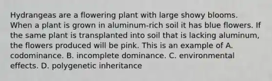 Hydrangeas are a flowering plant with large showy blooms. When a plant is grown in aluminum-rich soil it has blue flowers. If the same plant is transplanted into soil that is lacking aluminum, the flowers produced will be pink. This is an example of A. codominance. B. incomplete dominance. C. environmental effects. D. polygenetic inheritance