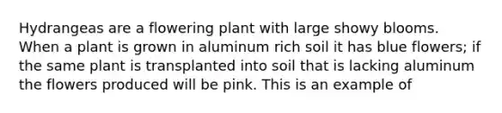 Hydrangeas are a flowering plant with large showy blooms. When a plant is grown in aluminum rich soil it has blue flowers; if the same plant is transplanted into soil that is lacking aluminum the flowers produced will be pink. This is an example of