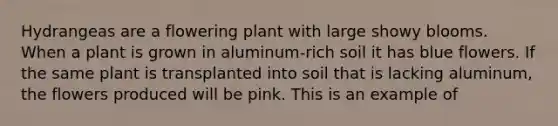 Hydrangeas are a flowering plant with large showy blooms. When a plant is grown in aluminum-rich soil it has blue flowers. If the same plant is transplanted into soil that is lacking aluminum, the flowers produced will be pink. This is an example of