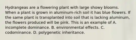 Hydrangeas are a flowering plant with large showy blooms. When a plant is grown in aluminum-rich soil it has blue flowers. If the same plant is transplanted into soil that is lacking aluminum, the flowers produced will be pink. This is an example of A. incomplete dominance. B. environmental effects. C. codominance. D. polygenetic inheritance.