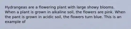 Hydrangeas are a flowering plant with large showy blooms. When a plant is grown in alkaline soil, the flowers are pink. When the pant is grown in acidic soil, the flowers turn blue. This is an example of