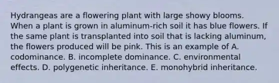Hydrangeas are a flowering plant with large showy blooms. When a plant is grown in aluminum-rich soil it has blue flowers. If the same plant is transplanted into soil that is lacking aluminum, the flowers produced will be pink. This is an example of A. codominance. B. incomplete dominance. C. environmental effects. D. polygenetic inheritance. E. monohybrid inheritance.