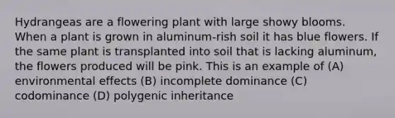 Hydrangeas are a flowering plant with large showy blooms. When a plant is grown in aluminum-rish soil it has blue flowers. If the same plant is transplanted into soil that is lacking aluminum, the flowers produced will be pink. This is an example of (A) environmental effects (B) incomplete dominance (C) codominance (D) polygenic inheritance