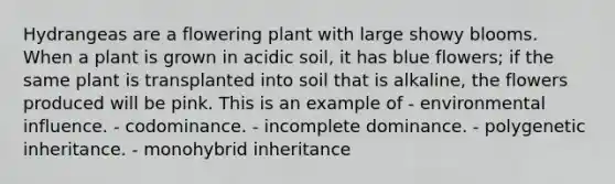 Hydrangeas are a flowering plant with large showy blooms. When a plant is grown in acidic soil, it has blue flowers; if the same plant is transplanted into soil that is alkaline, the flowers produced will be pink. This is an example of - environmental influence. - codominance. - incomplete dominance. - polygenetic inheritance. - monohybrid inheritance