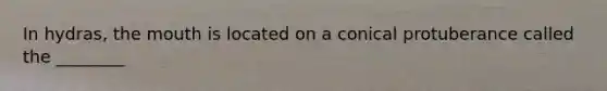 In hydras, the mouth is located on a conical protuberance called the ________