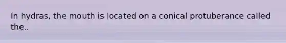 In hydras, the mouth is located on a conical protuberance called the..