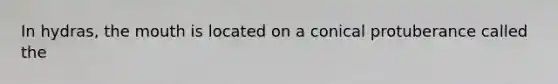 In hydras, the mouth is located on a conical protuberance called the