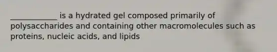 ____________ is a hydrated gel composed primarily of polysaccharides and containing other macromolecules such as proteins, nucleic acids, and lipids