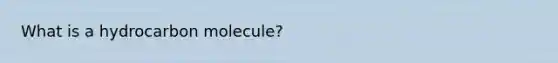 What is a hydrocarbon molecule?