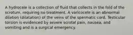 A hydrocele is a collection of fluid that collects in the fold of the scrotum, requiring no treatment. A varicocele is an abnormal dilation (dilatation) of the veins of the spermatic cord. Testicular torsion is evidenced by severe scrotal pain, nausea, and vomiting and is a surgical emergency.