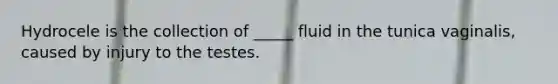 Hydrocele is the collection of _____ fluid in the tunica vaginalis, caused by injury to the testes.