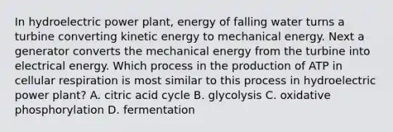 In hydroelectric power plant, energy of falling water turns a turbine converting kinetic energy to mechanical energy. Next a generator converts the mechanical energy from the turbine into electrical energy. Which process in the production of ATP in cellular respiration is most similar to this process in hydroelectric power plant? A. citric acid cycle B. glycolysis C. oxidative phosphorylation D. fermentation