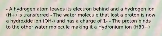 - A hydrogen atom leaves its electron behind and a hydrogen ion (H+) is transferred - The water molecule that lost a proton is now a hydroxide ion (OH-) and has a charge of 1- - The proton binds to the other water molecule making it a Hydronium ion (H30+)