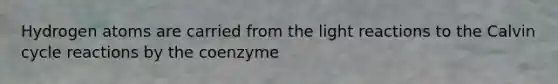 Hydrogen atoms are carried from the light reactions to the Calvin cycle reactions by the coenzyme