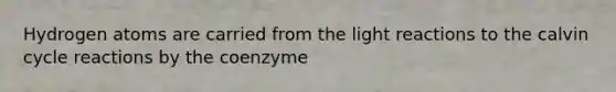 Hydrogen atoms are carried from the light reactions to the calvin cycle reactions by the coenzyme