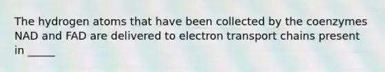 The hydrogen atoms that have been collected by the coenzymes NAD and FAD are delivered to electron transport chains present in _____