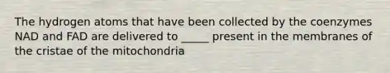 The hydrogen atoms that have been collected by the coenzymes NAD and FAD are delivered to _____ present in the membranes of the cristae of the mitochondria