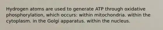 Hydrogen atoms are used to generate ATP through oxidative phosphorylation, which occurs: within mitochondria. within the cytoplasm. in the Golgi apparatus. within the nucleus.