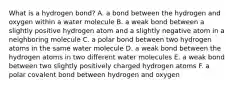 What is a hydrogen bond? A. a bond between the hydrogen and oxygen within a water molecule B. a weak bond between a slightly positive hydrogen atom and a slightly negative atom in a neighboring molecule C. a polar bond between two hydrogen atoms in the same water molecule D. a weak bond between the hydrogen atoms in two different water molecules E. a weak bond between two slightly positively charged hydrogen atoms F. a polar covalent bond between hydrogen and oxygen