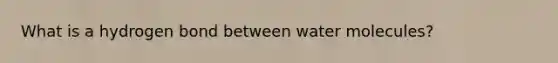 What is a hydrogen bond between water molecules?
