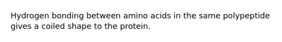 Hydrogen bonding between amino acids in the same polypeptide gives a coiled shape to the protein.