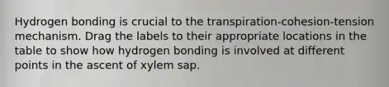 Hydrogen bonding is crucial to the transpiration-cohesion-tension mechanism. Drag the labels to their appropriate locations in the table to show how hydrogen bonding is involved at different points in the ascent of xylem sap.