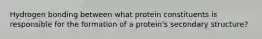 Hydrogen bonding between what protein constituents is responsible for the formation of a protein's secondary structure?