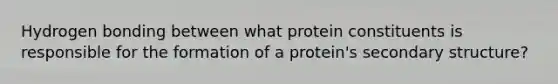 Hydrogen bonding between what protein constituents is responsible for the formation of a protein's secondary structure?