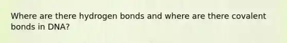 Where are there hydrogen bonds and where are there covalent bonds in DNA?