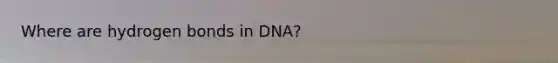 Where are hydrogen bonds in DNA?