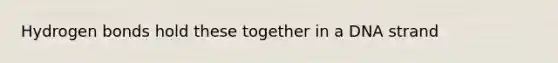 Hydrogen bonds hold these together in a DNA strand