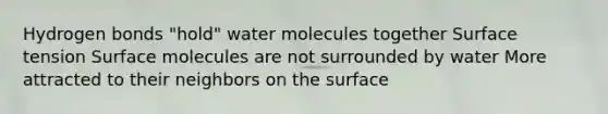 Hydrogen bonds "hold" water molecules together Surface tension Surface molecules are not surrounded by water More attracted to their neighbors on the surface