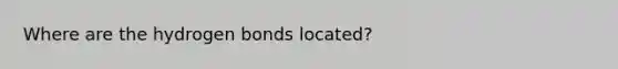 Where are the hydrogen bonds located?