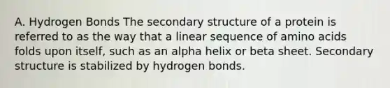 A. Hydrogen Bonds The <a href='https://www.questionai.com/knowledge/kRddrCuqpV-secondary-structure' class='anchor-knowledge'>secondary structure</a> of a protein is referred to as the way that a linear sequence of <a href='https://www.questionai.com/knowledge/k9gb720LCl-amino-acids' class='anchor-knowledge'>amino acids</a> folds upon itself, such as an alpha helix or beta sheet. Secondary structure is stabilized by hydrogen bonds.