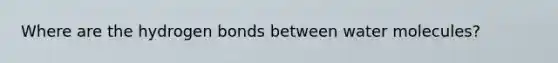 Where are the hydrogen bonds between water molecules?