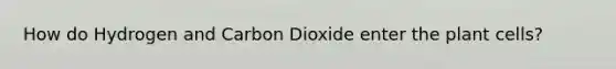 How do Hydrogen and Carbon Dioxide enter the plant cells?