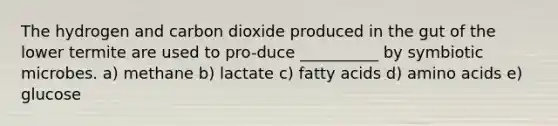 The hydrogen and carbon dioxide produced in the gut of the lower termite are used to pro-duce __________ by symbiotic microbes. a) methane b) lactate c) fatty acids d) amino acids e) glucose