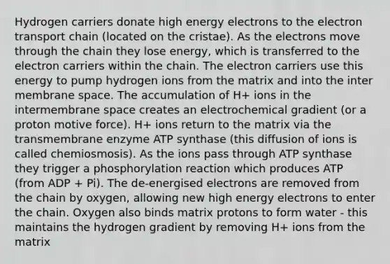 Hydrogen carriers donate high energy electrons to the electron transport chain (located on the cristae). As the electrons move through the chain they lose energy, which is transferred to the electron carriers within the chain. The electron carriers use this energy to pump hydrogen ions from the matrix and into the inter membrane space. The accumulation of H+ ions in the intermembrane space creates an electrochemical gradient (or a proton motive force). H+ ions return to the matrix via the transmembrane enzyme ATP synthase (this diffusion of ions is called chemiosmosis). As the ions pass through ATP synthase they trigger a phosphorylation reaction which produces ATP (from ADP + Pi). The de-energised electrons are removed from the chain by oxygen, allowing new high energy electrons to enter the chain. Oxygen also binds matrix protons to form water - this maintains the hydrogen gradient by removing H+ ions from the matrix