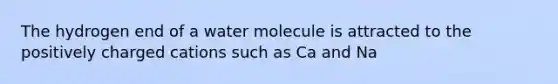 The hydrogen end of a water molecule is attracted to the positively charged cations such as Ca and Na