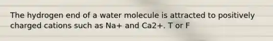 The hydrogen end of a water molecule is attracted to positively charged cations such as Na+ and Ca2+. T or F