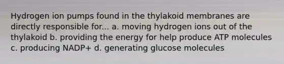 Hydrogen ion pumps found in the thylakoid membranes are directly responsible for... a. moving hydrogen ions out of the thylakoid b. providing the energy for help produce ATP molecules c. producing NADP+ d. generating glucose molecules