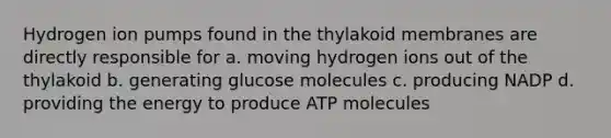 Hydrogen ion pumps found in the thylakoid membranes are directly responsible for a. moving hydrogen ions out of the thylakoid b. generating glucose molecules c. producing NADP d. providing the energy to produce ATP molecules