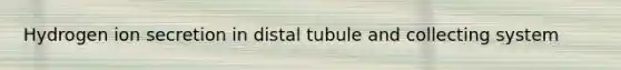 Hydrogen ion secretion in distal tubule and collecting system