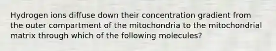 Hydrogen ions diffuse down their concentration gradient from the outer compartment of the mitochondria to the mitochondrial matrix through which of the following molecules?