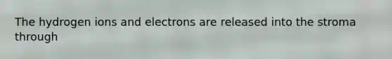 The hydrogen ions and electrons are released into the stroma through